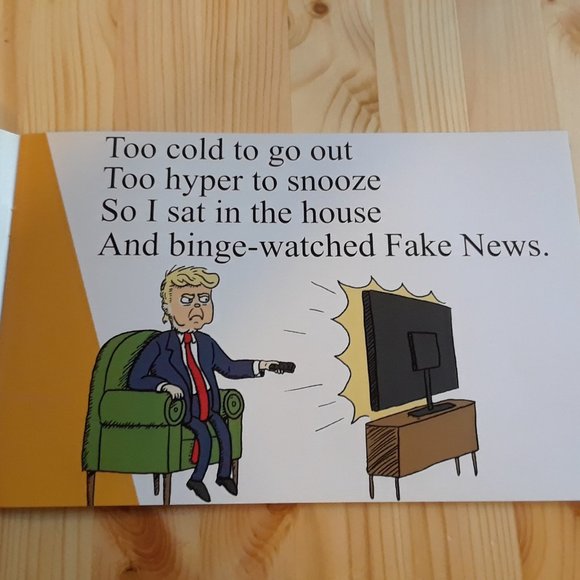 Donald Trump children's book S-holes in S-Ville as seen on The Jimmy Fallon Show - Picture 3 of 8